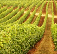 Darlington Estate Winery and Restaurant - Yamba Accommodation