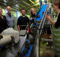 Eyre Peninsula's Seafood Trail - Yamba Accommodation