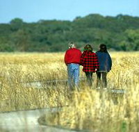 Onkaparinga River Recreation Park - Yamba Accommodation