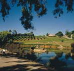 Mount Hurtle Winery home of Geoff Merrill Wines - Yamba Accommodation