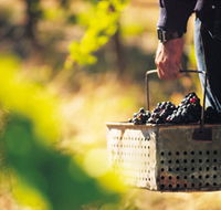 Burge Family Winemakers - Yamba Accommodation