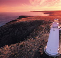 Lashmar Conservation Park - Yamba Accommodation