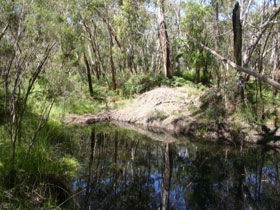Para Wirra Recreation Park - Yamba Accommodation 0