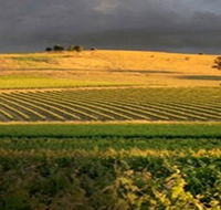 Kellermeister Wines - Yamba Accommodation