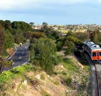 Coast to Vines Rail Trail - Yamba Accommodation