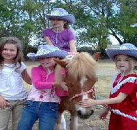 Amberainbow Pony Rides - Yamba Accommodation
