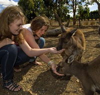 Kangaroo Island Wildlife Park - Yamba Accommodation