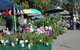 Meadows Monthly Market - thumb 0