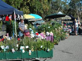 Meadows Monthly Market - Yamba Accommodation 0