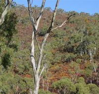 Black Hill Conservation Park