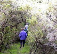 Jack And Hilda McArthur Walk - Yamba Accommodation