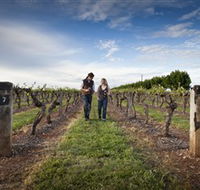 Coonawarra Wineries Walking Trail - Yamba Accommodation