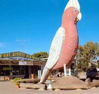 The Big Galah - Yamba Accommodation