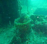 Wallaroo Scuba Club - Yamba Accommodation