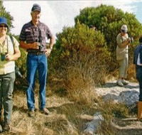 Coobowie Bird Hide - Yamba Accommodation