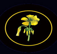 Battle of Bosworth Wines - Yamba Accommodation