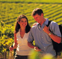 Lady Bay Vineyard - Yamba Accommodation