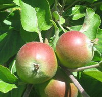 Sage Cooking School - Yamba Accommodation