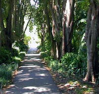 Adelaide Botanic Garden
