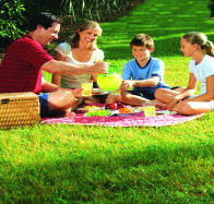 Bruny Island Berry Farm - Yamba Accommodation