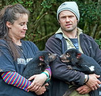 devilscradle - Yamba Accommodation