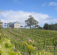 Bruny Island Premium Wines Bar and Grill - Yamba Accommodation