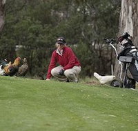Tasmania Golf Club - The - Yamba Accommodation