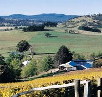 Freycinet Vineyards Pty Ltd - Yamba Accommodation