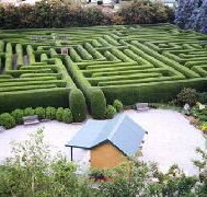 Westbury Maze and Tea Room - Yamba Accommodation