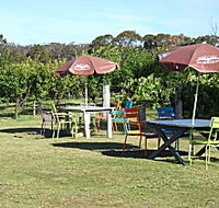 Cerise Brook Orchard  Family Golf - Yamba Accommodation