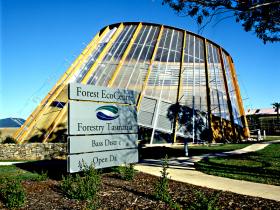 Cuckoo TAS Yamba Accommodation