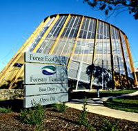 Forest EcoCentre - Yamba Accommodation