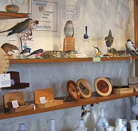 Touchwood Craft Gallery Gifts and Cafe - Yamba Accommodation