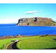 Nut - The - Yamba Accommodation