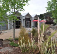 Tin Dragon Interpretation Centre and Cafe - Yamba Accommodation