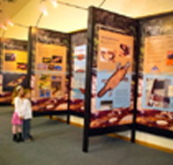 Platypus Experience - Yamba Accommodation