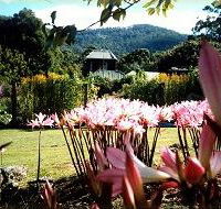 Blueberry Cottage Open Gardens - Yamba Accommodation