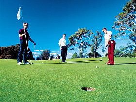 Scamander River Golf Club - Yamba Accommodation 0