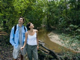 Mooloolah River National Park, Jowarra Section - Yamba Accommodation 0