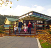 Australian Axeman's Hall of Fame - Yamba Accommodation