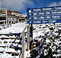 Ben Lomond National Park - Yamba Accommodation