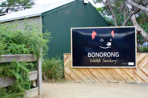Bonorong Wildlife Sanctuary - Yamba Accommodation 1