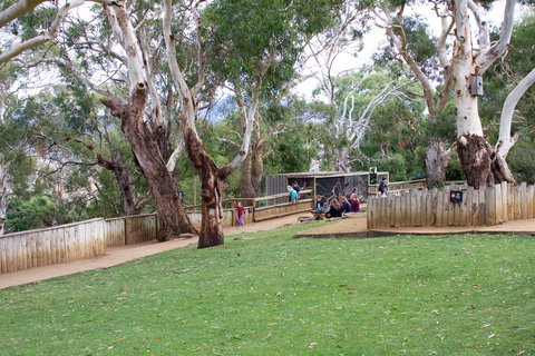 Bonorong Wildlife Sanctuary - Yamba Accommodation 2