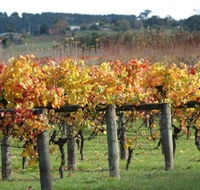 Apsley Gorge Vineyard - Yamba Accommodation
