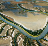 The Wilderness Gallery - Yamba Accommodation