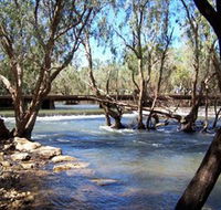 Low Level Nature Reserve - Yamba Accommodation