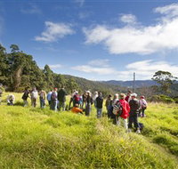 Apple Tree Park - Yamba Accommodation