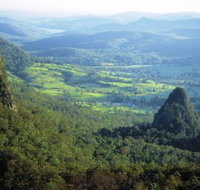 Springbrook Plateau Springbrook National Park - Yamba Accommodation