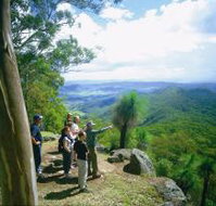 Gold Coast Hinterland Great Walk - Yamba Accommodation