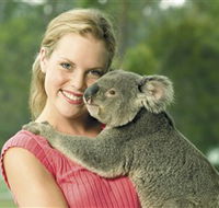 Paradise Country Aussie Farm Tour - Yamba Accommodation
